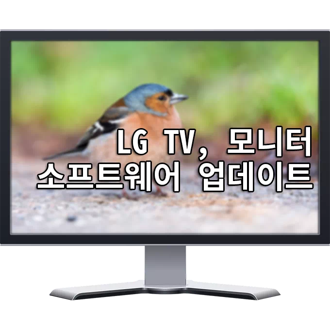 LG TV, 모니터펌웨어 업그레이드 (m2352)