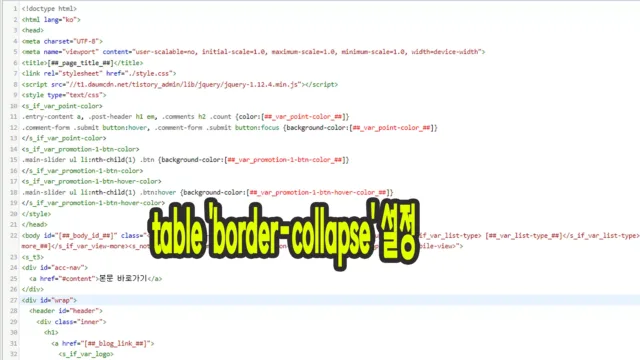 table_border-collapse