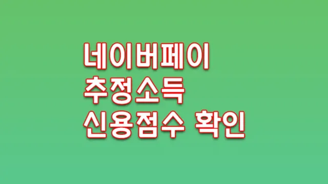 추정소득 및 신용점수 확인하는 방법 대출 네이버페이 나이스지키미