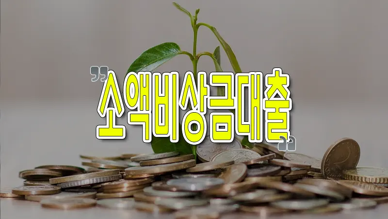 소액 비상금대출