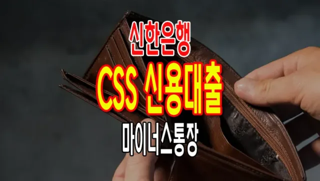 신한은행 신용대출 마이너스통장 개인신용평가 시스템(CSS)자동심사