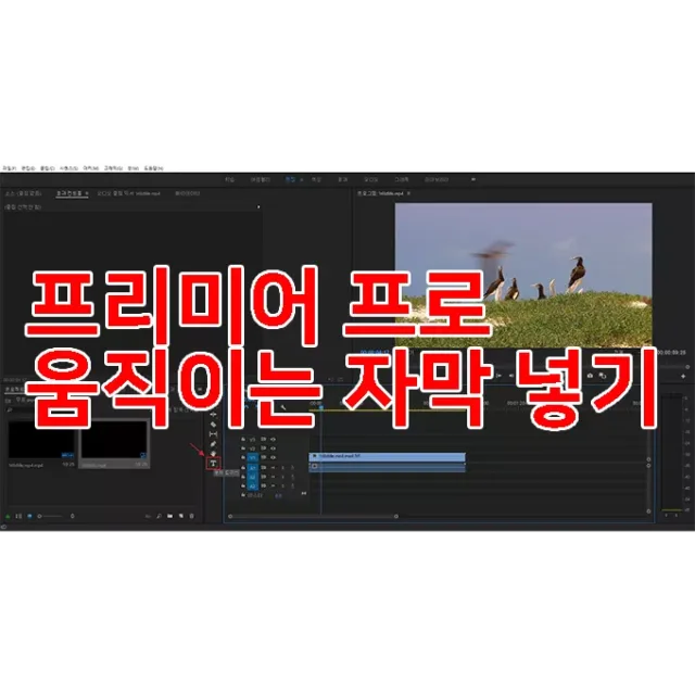 프리미어프로-움직이는-자막-넣기